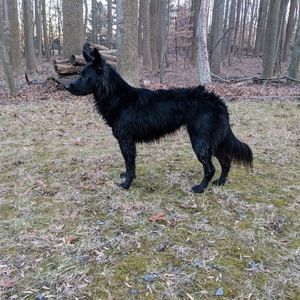 Meet your Posher, Angel